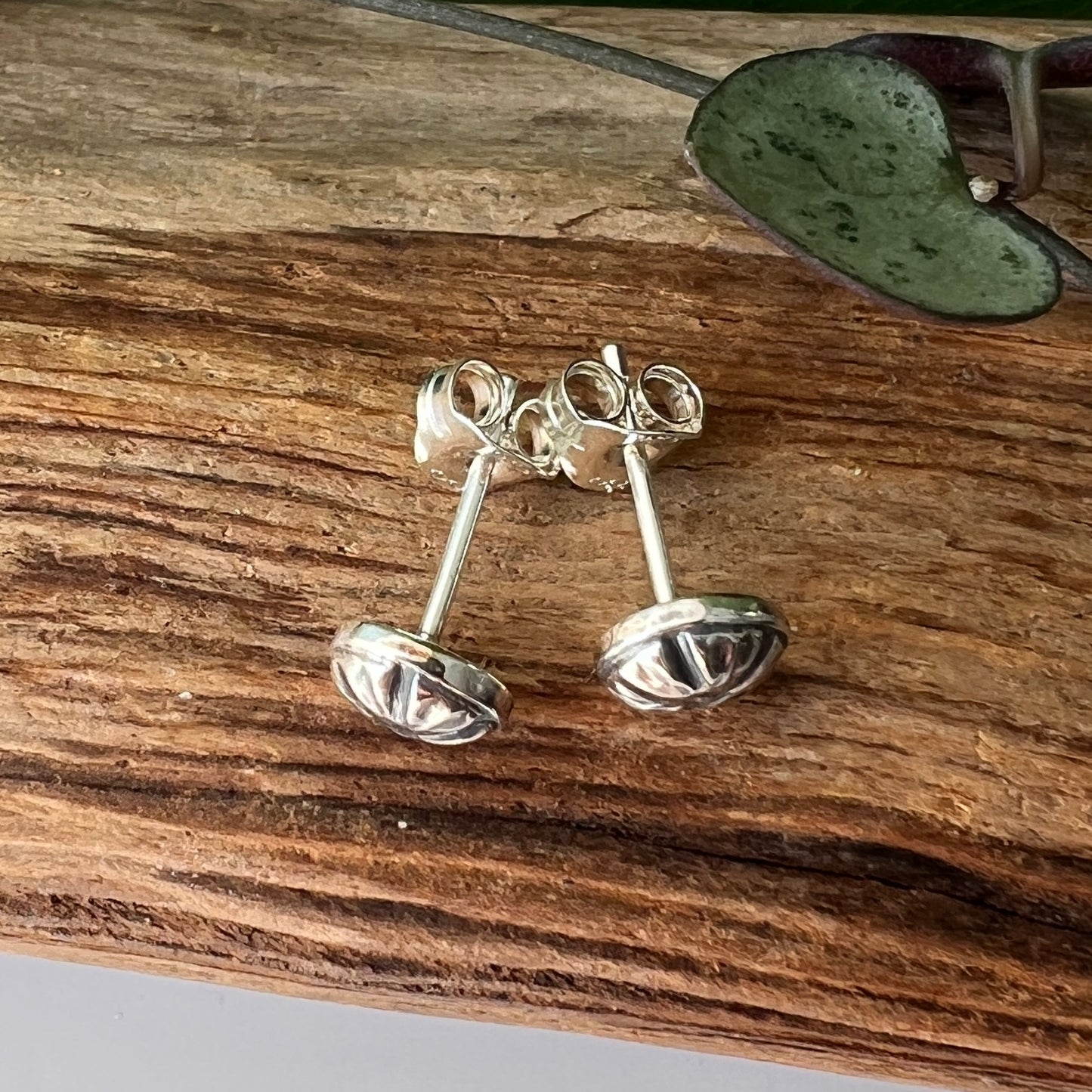 Silver Studs
