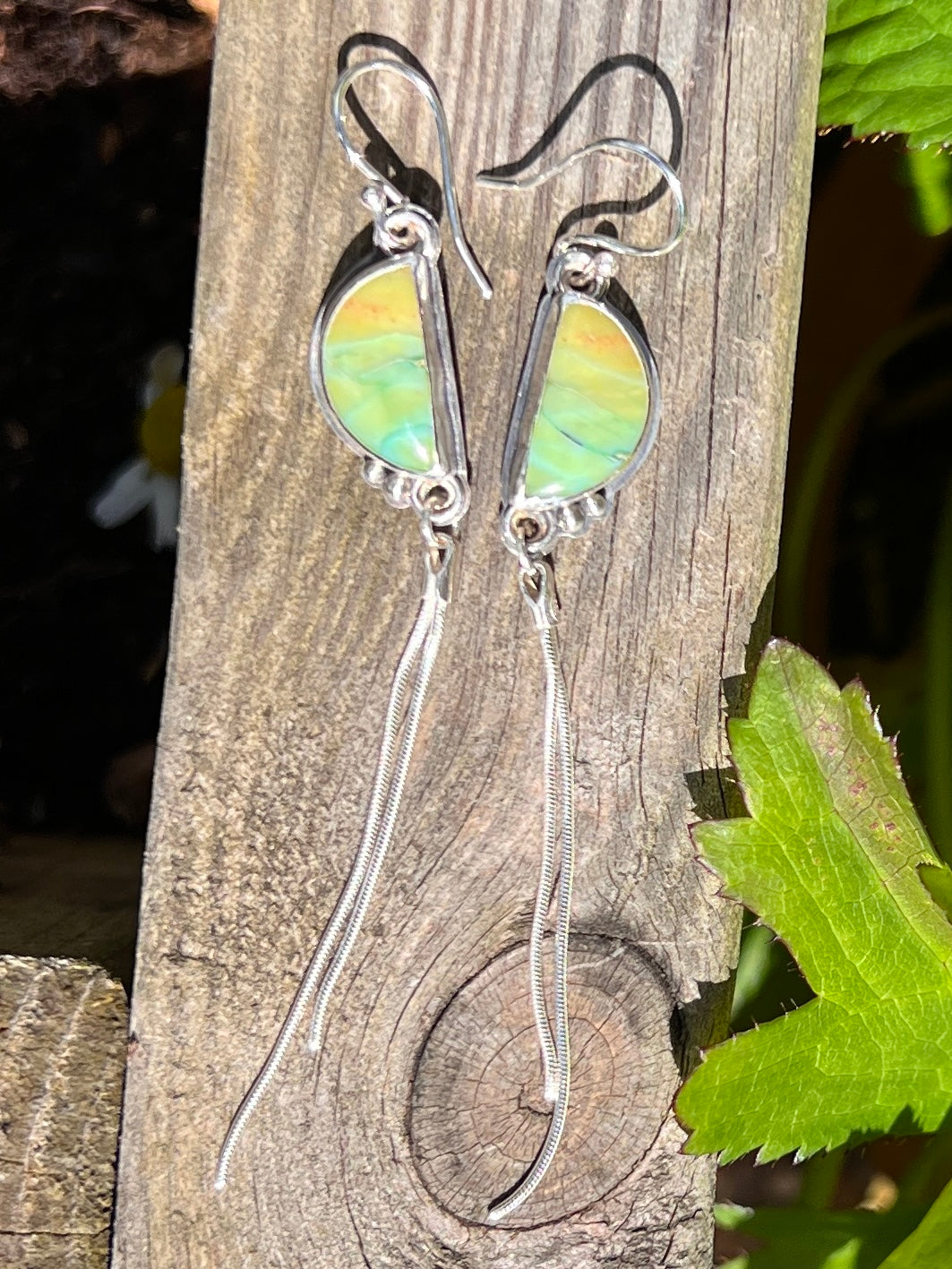 Opalised Wood Earrings