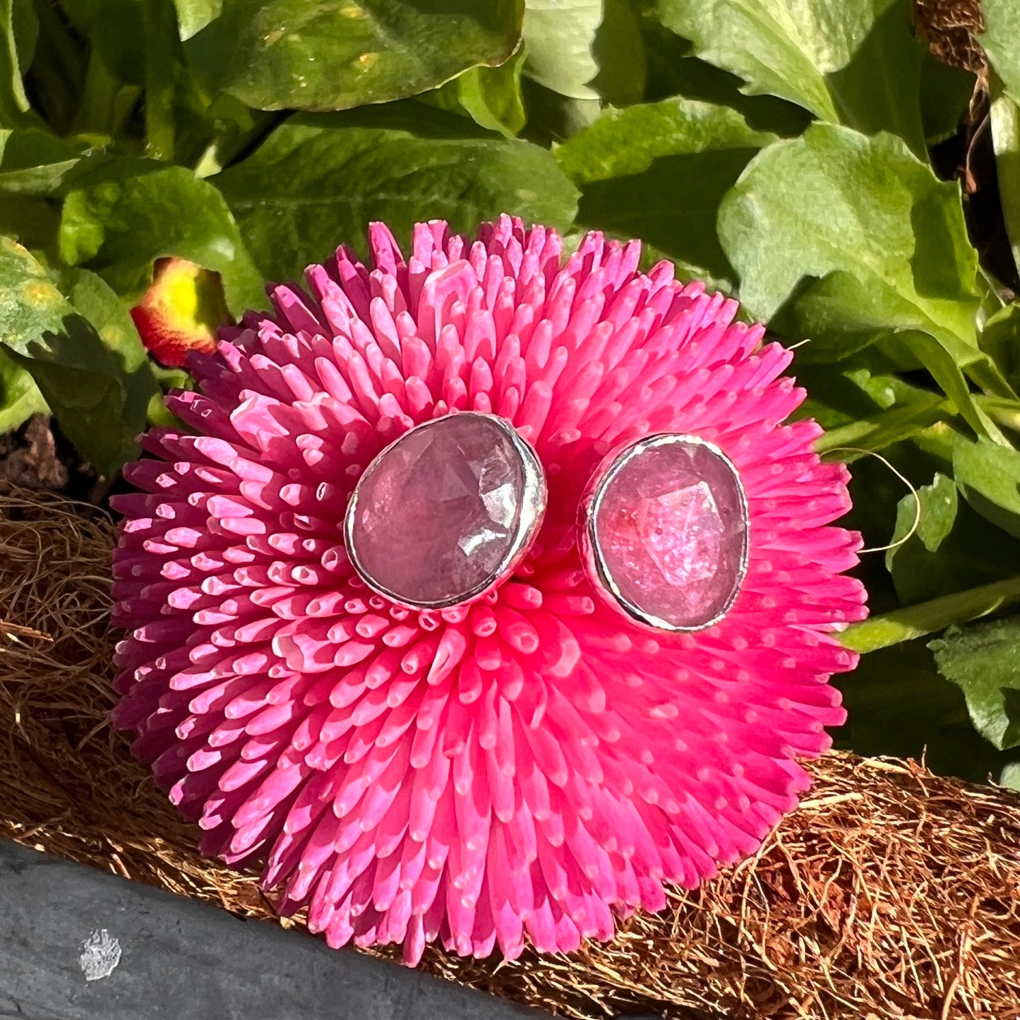 Pink Sapphire Studs