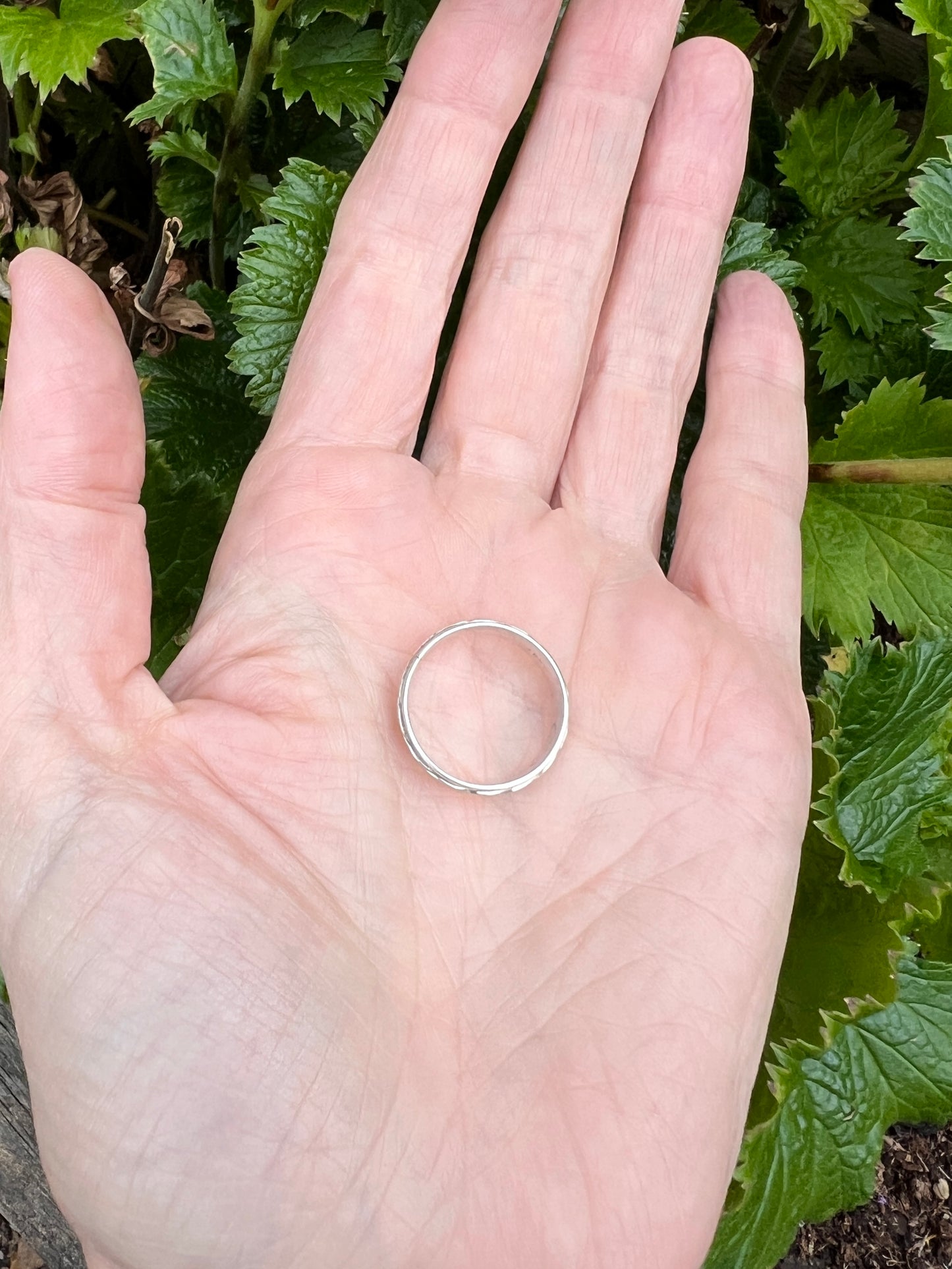 Silver Band