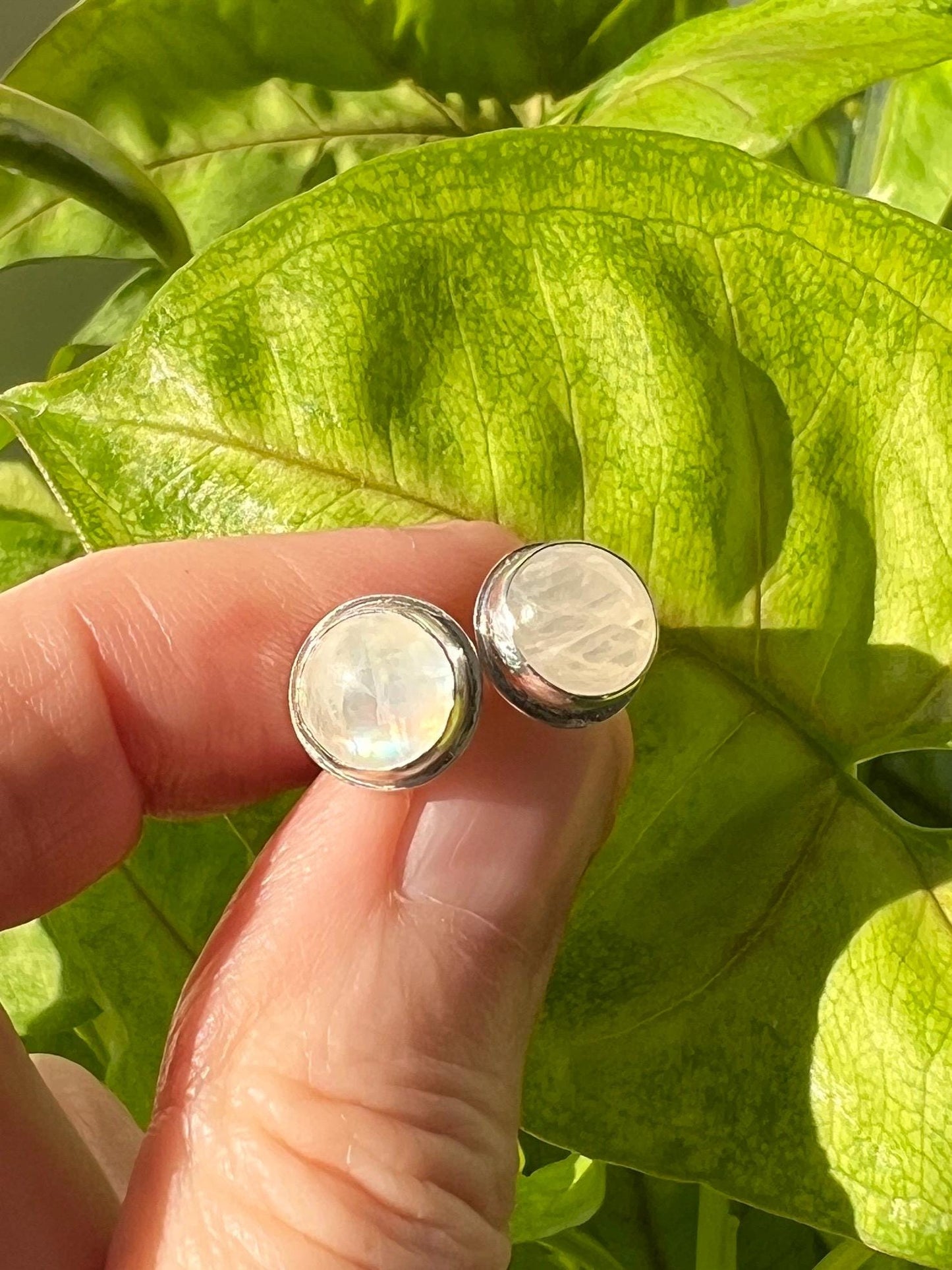 Moonstone Studs
