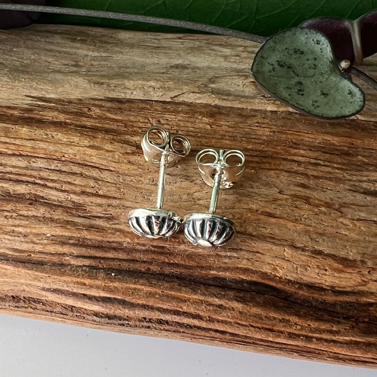 Silver Studs