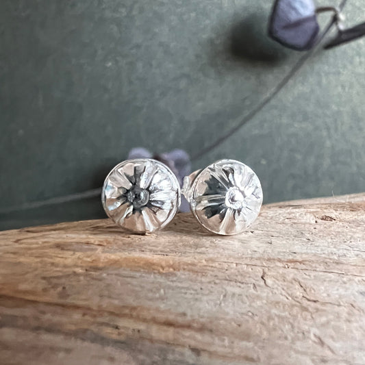 Silver Studs